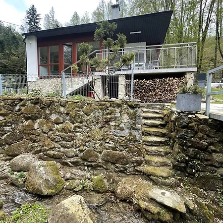 W Lesie Nad Rzeka Miedzybrodzie Bialskie