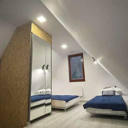 W Lesie Nad Rzeka Miedzybrodzie Bialskie