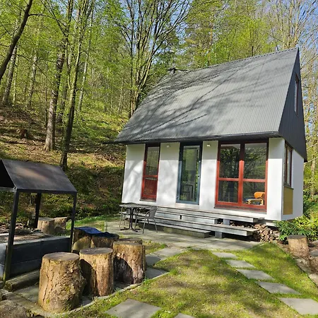 W Lesie Nad Rzeka Holiday home