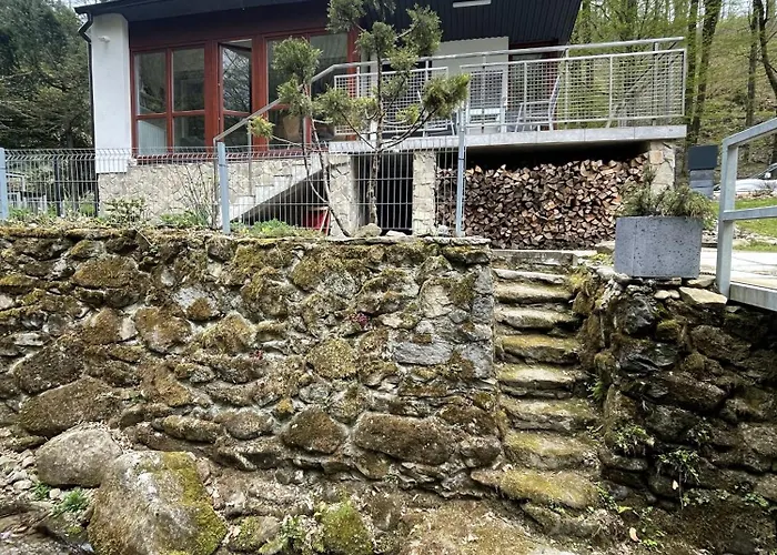 W Lesie Nad Rzeka Międzybrodzie Bialskie