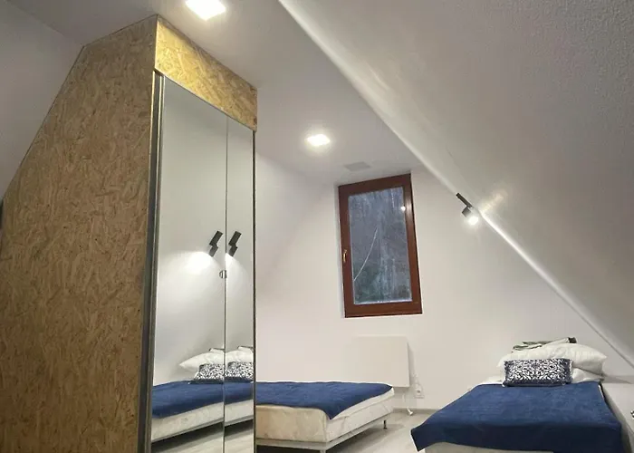 W Lesie Nad Rzeka Międzybrodzie Bialskie